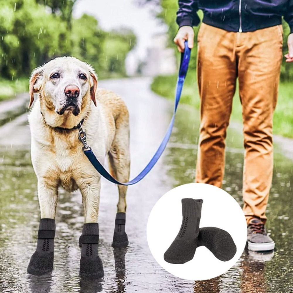 4pcs Pet Supplies Waterproof P - Pet Supplies Nz review and price