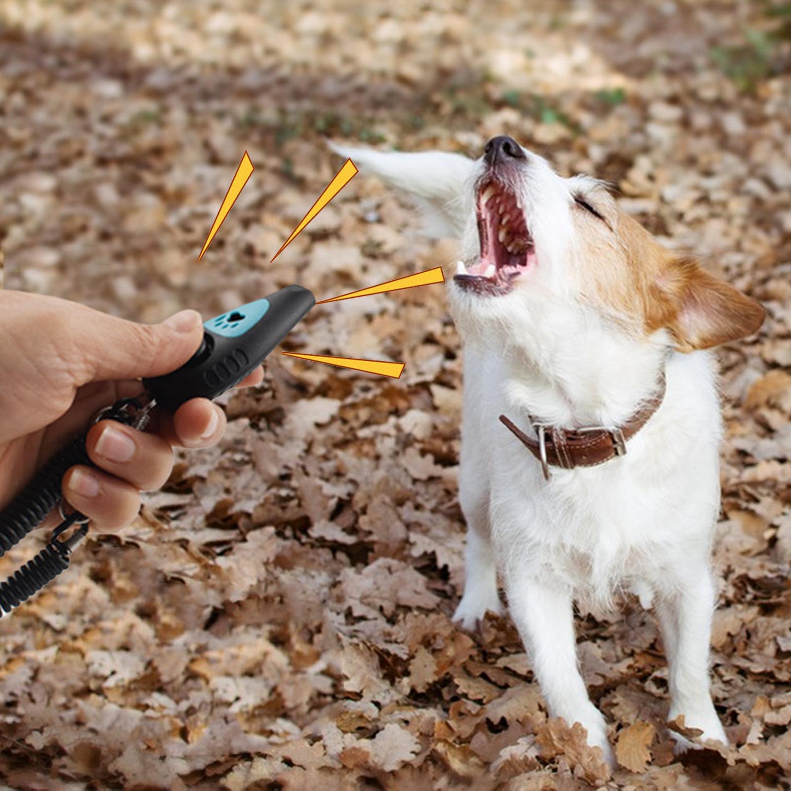 Dog Training Clicker 2 In 1 Pu - Training Clicker Dog review and price
