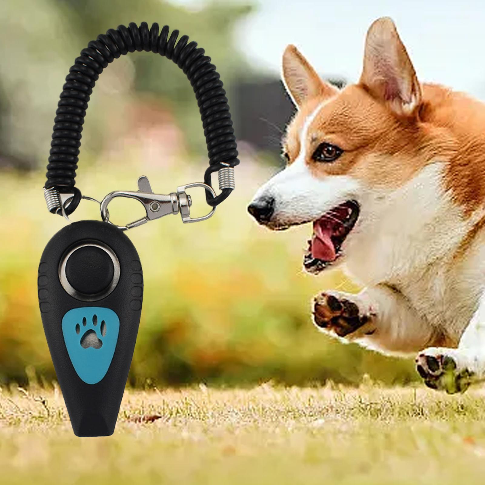 Dog Training Clicker 2 In 1 Pu - Training Clicker Dog review and price