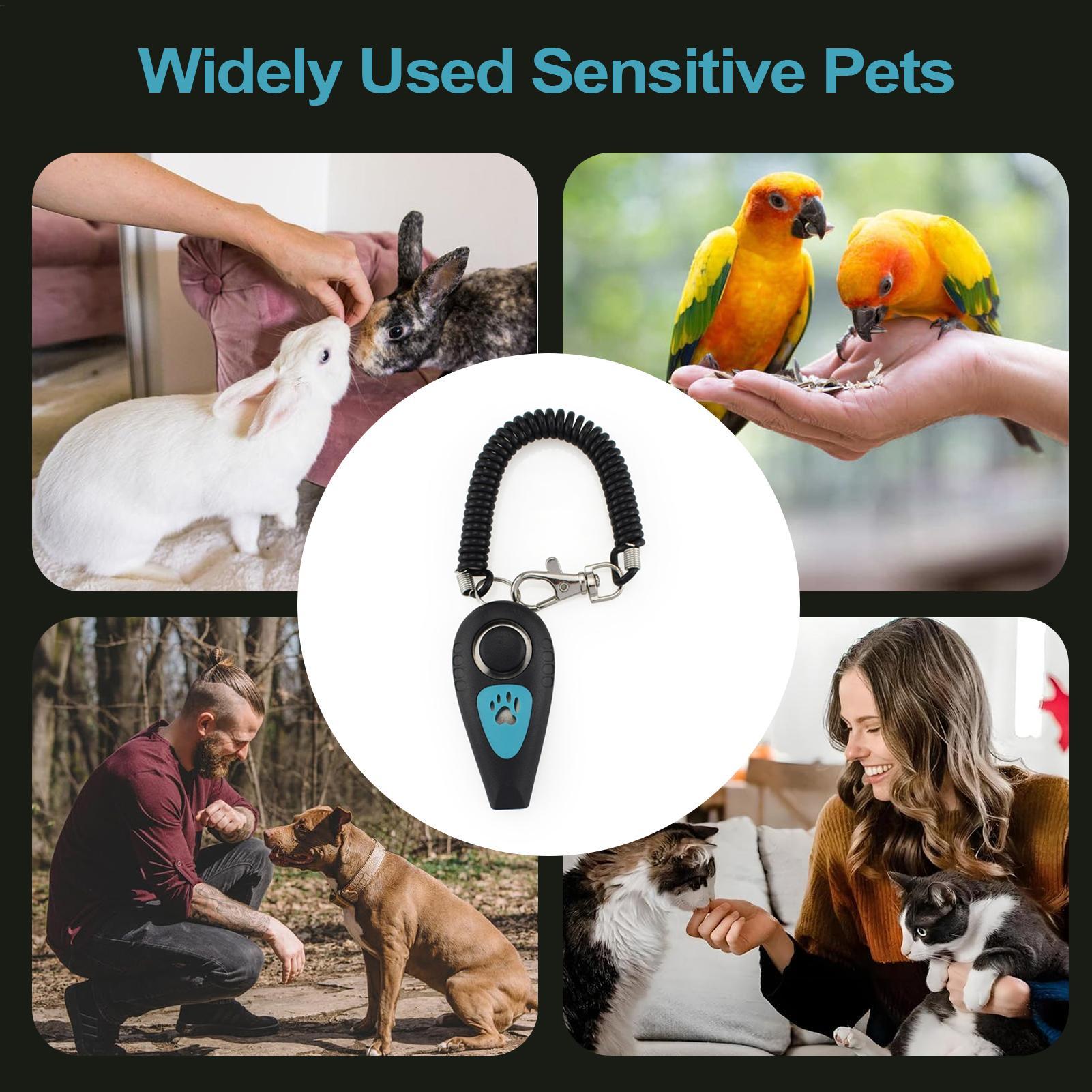 Dog Training Clicker 2 In 1 Pu - Training Clicker Dog review and price