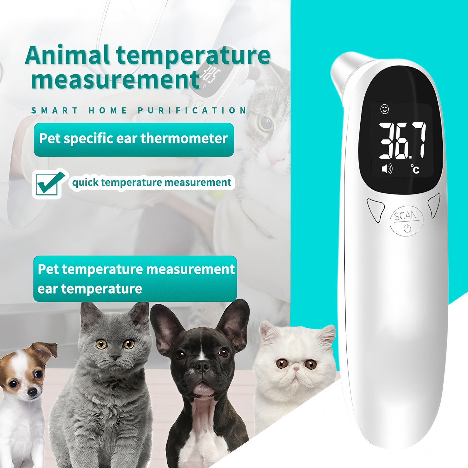 Pet Ear Digital Thermometer No - Pet Supplies Nz review and price