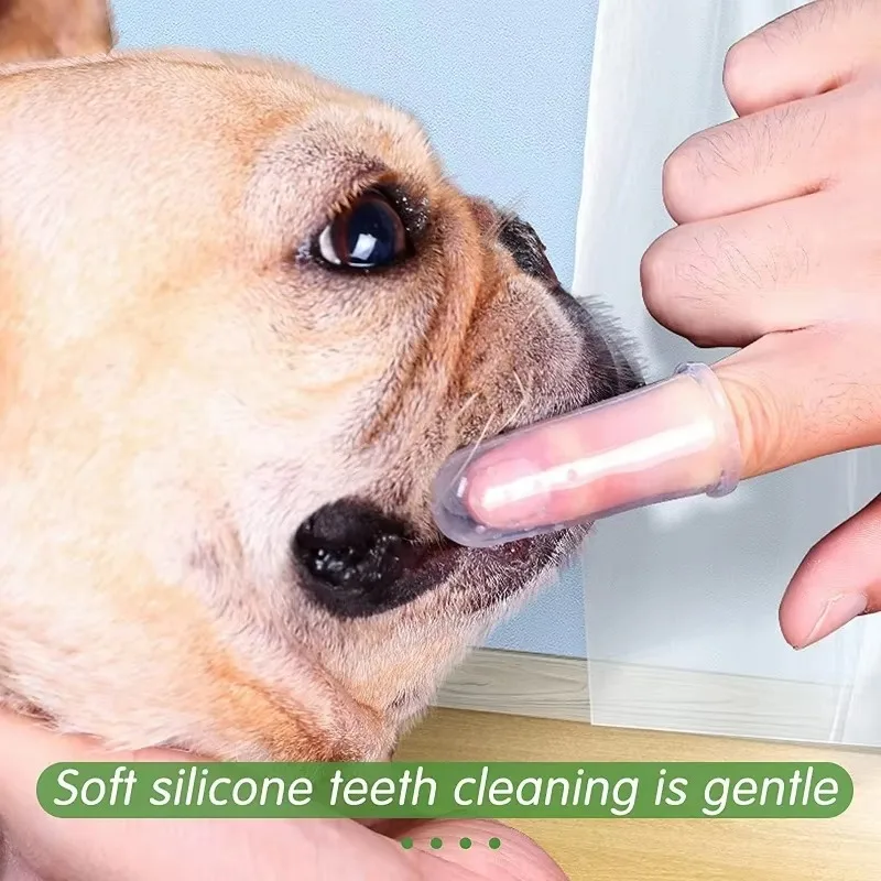 Super Soft Pet Finger Toothbru - Pet Supplies Nz review and price