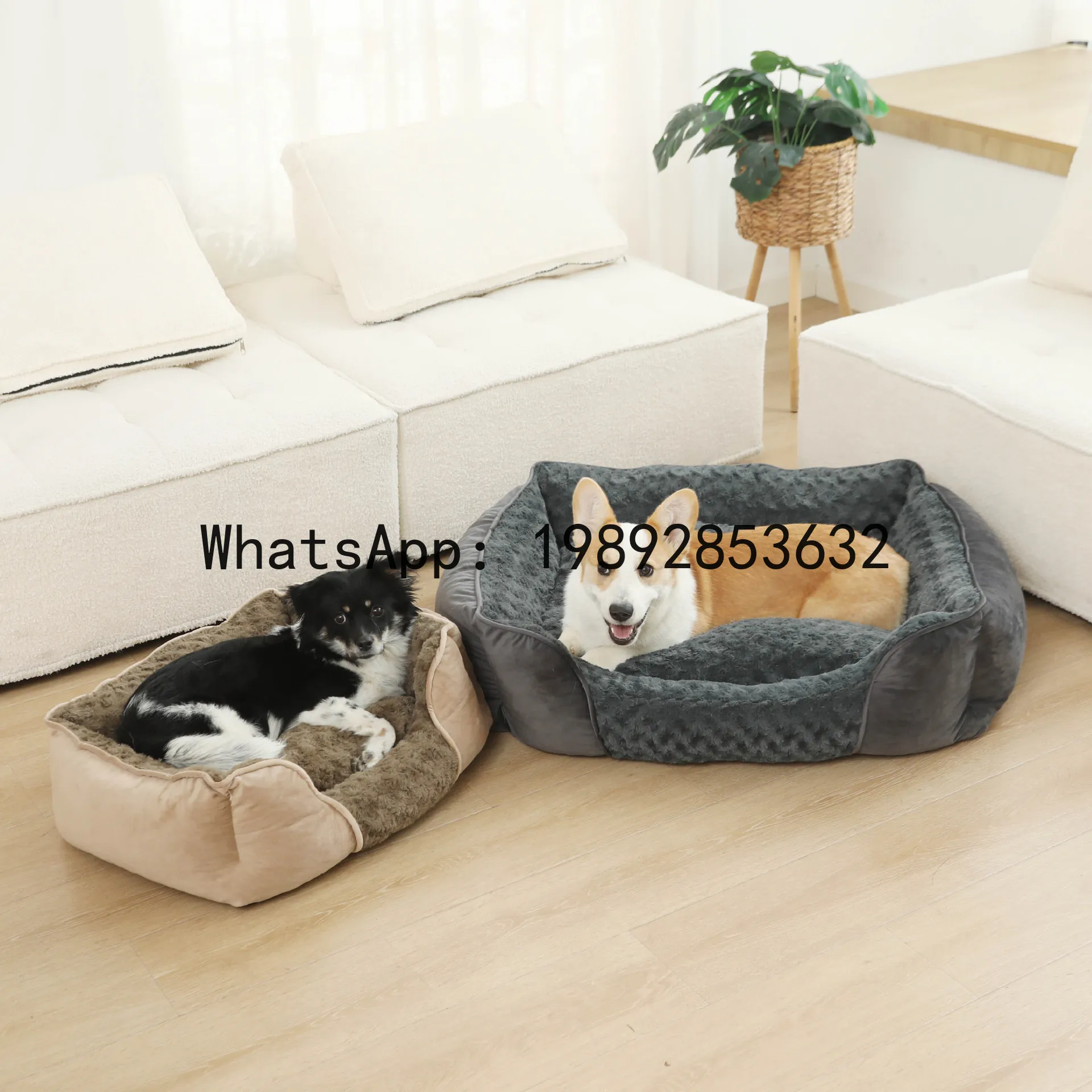 X cat house semi-enclosed dog  - Pet X Supplies & Tack review and price