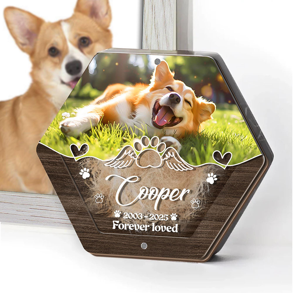 Personalized Name Wooden Carvi - Pet Supplies Nz review and price